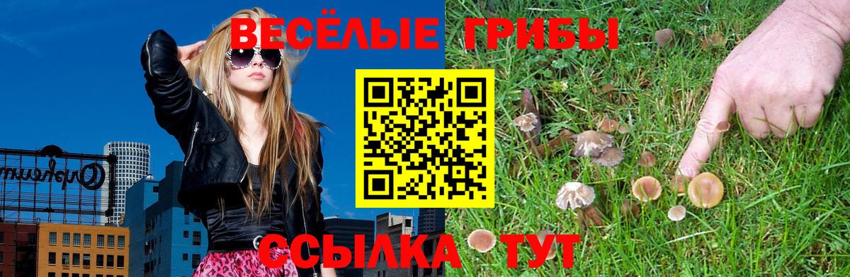 Галлюциногенные грибы мухоморы  Вход с VPN  где купить наркоту  Карпинск  Галлюциногенные грибы GOLDEN TEACHER 