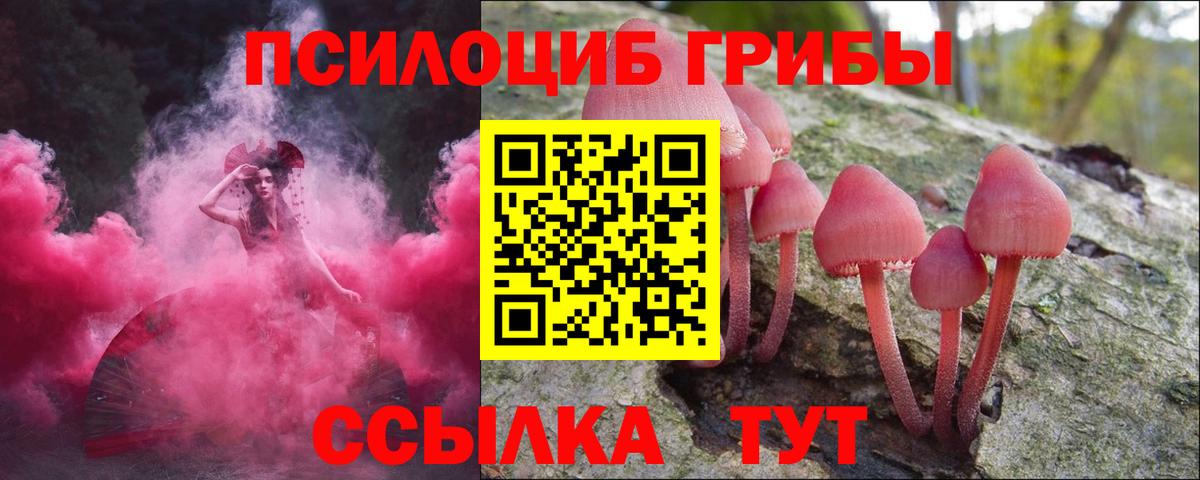 Псилоцибиновые грибы Psilocybe Карпинск